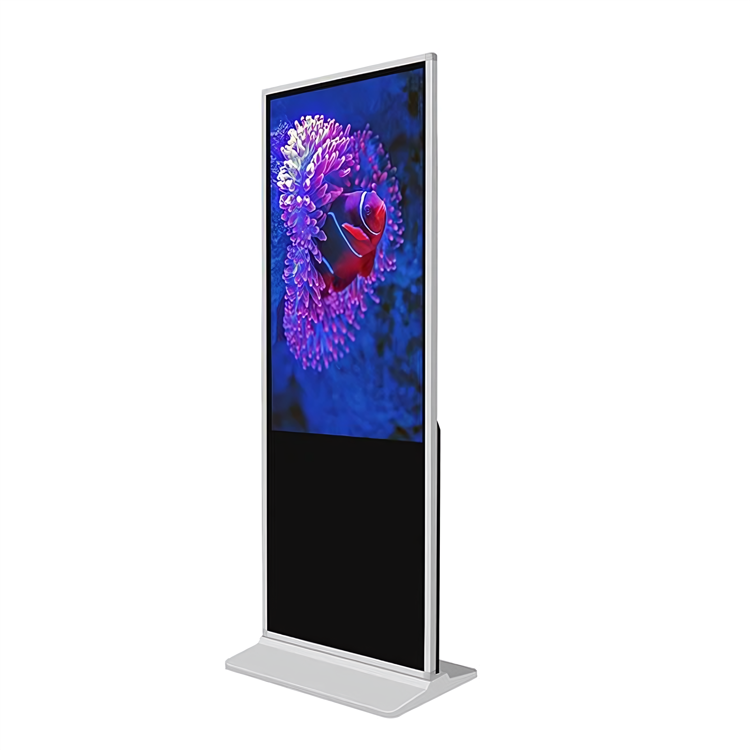 Digital Display 1