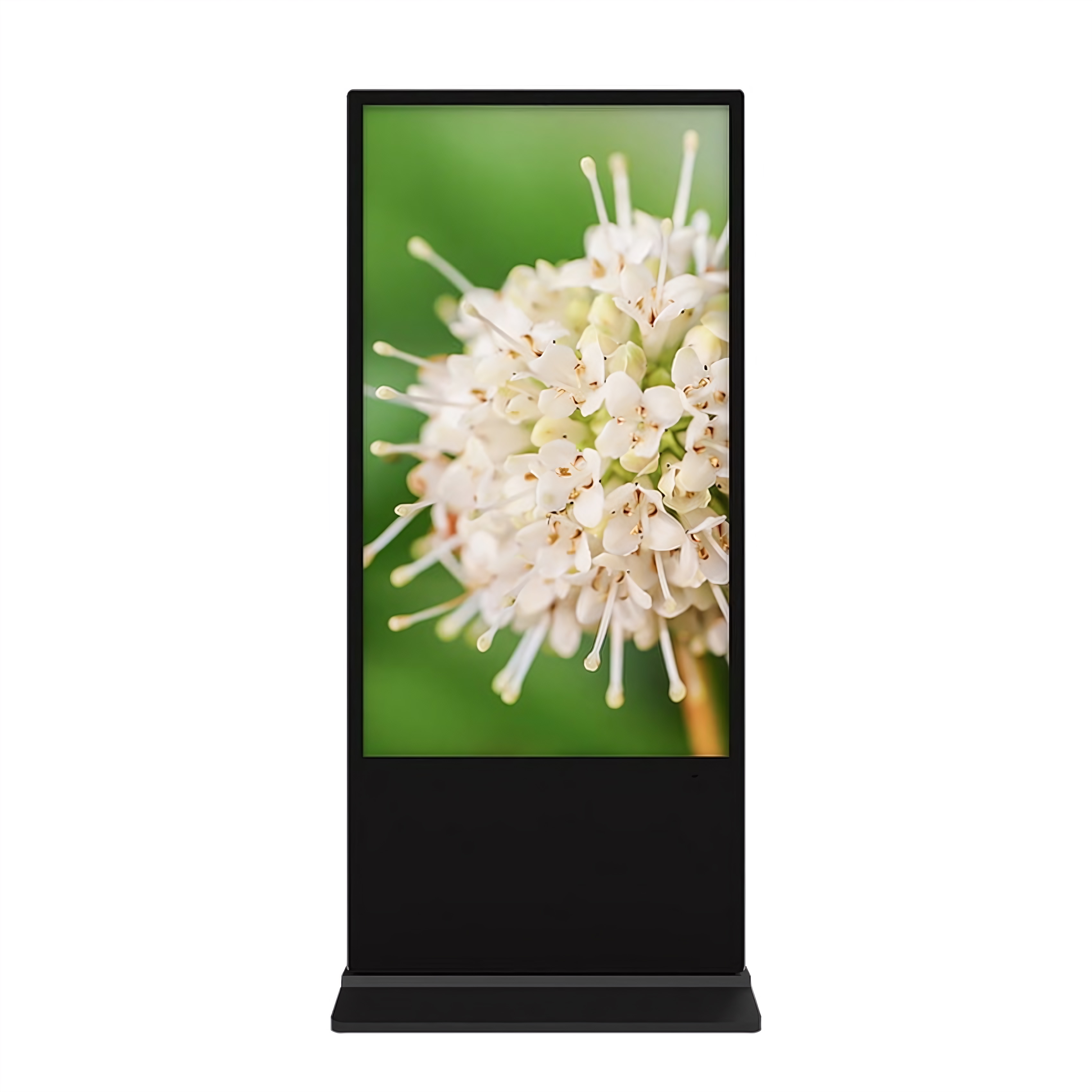 Digital Display 2