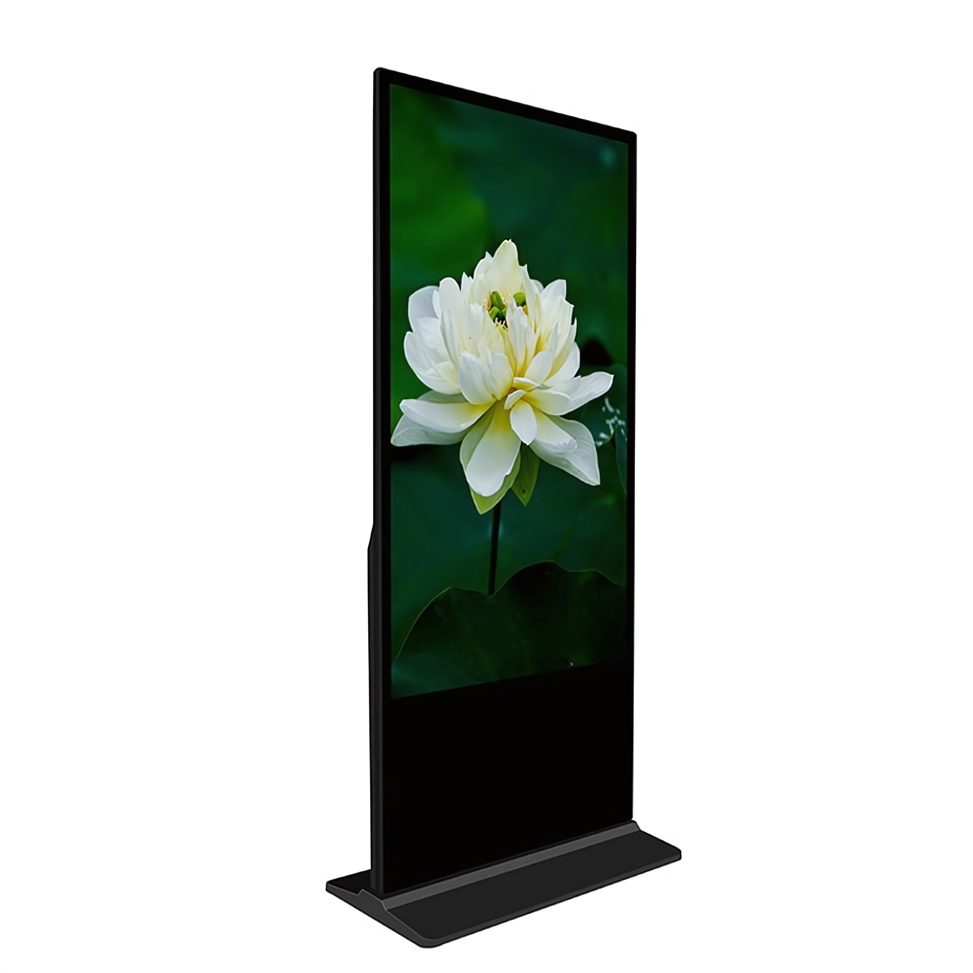 Digital Display 3
