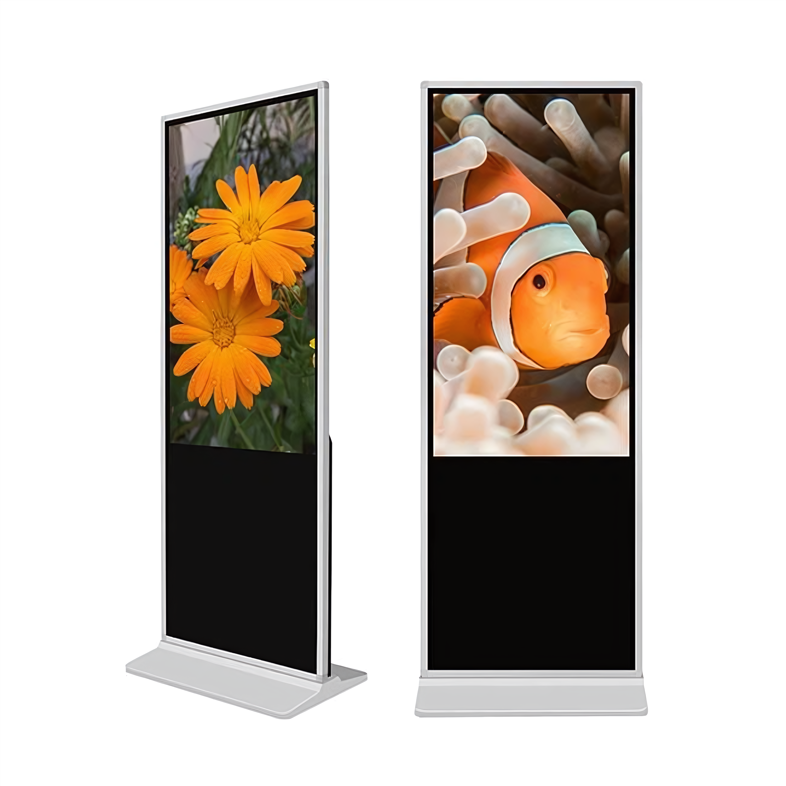 Digital Display 4
