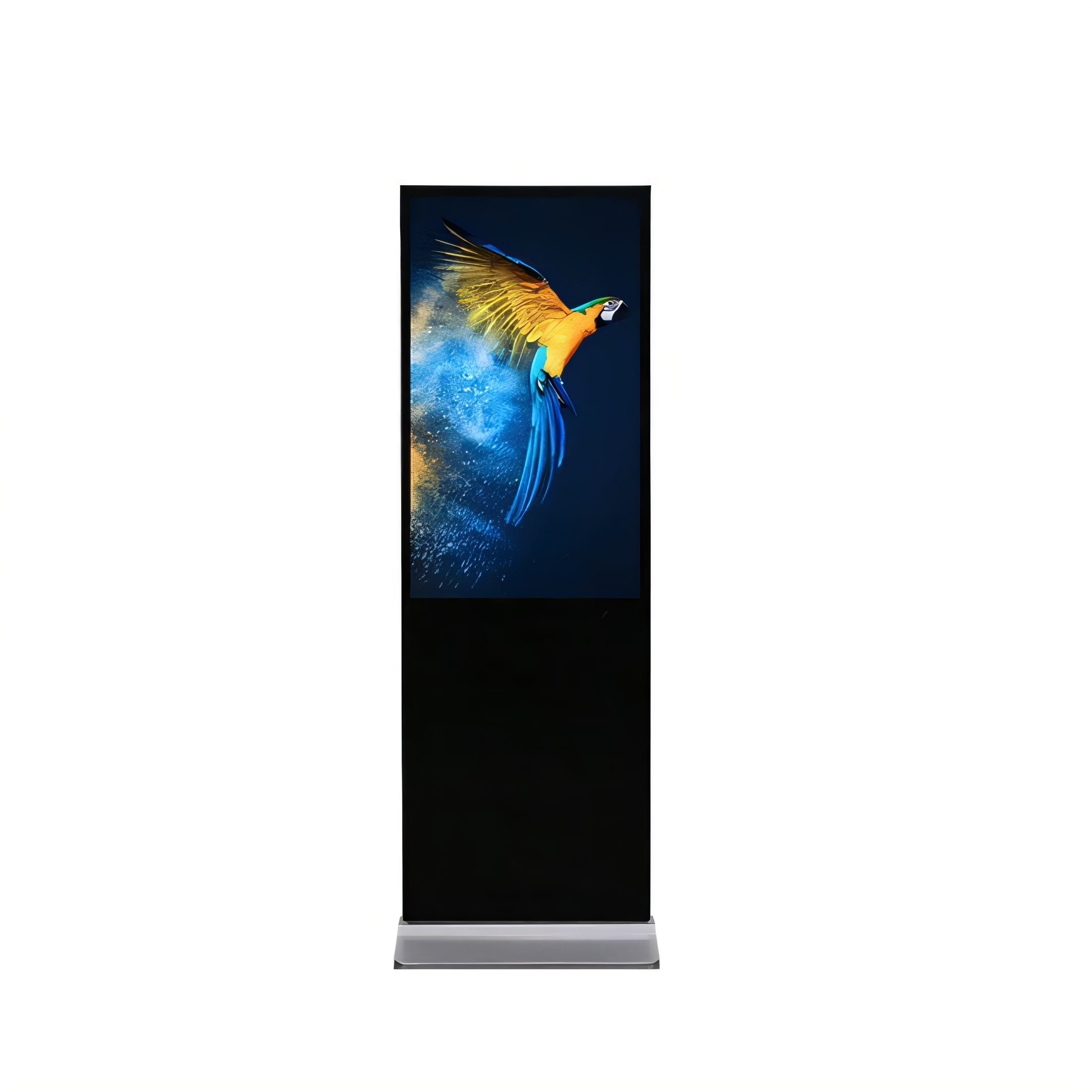 CityPulse LED Display with Colorful Parrot